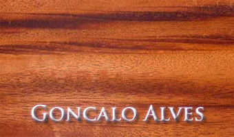 Goncalo Alves