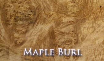 Maple Burl