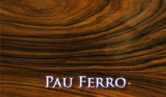 Pau Ferro