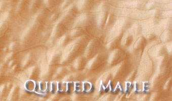 Quilted Maple